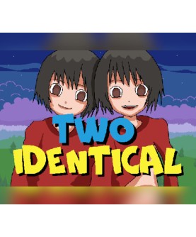 Two Identical Steam Key GLOBAL